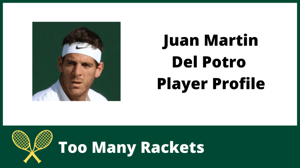Juan Martin Del Potro Player Profile