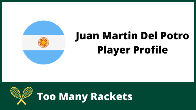 Juan Martin Del Potro Player Profile