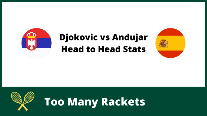 Djokovic vs Andujar Head to Head Stats