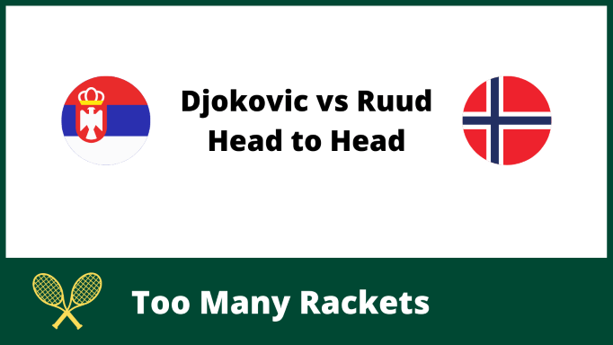 Djokovic vs Ruud Head to Head