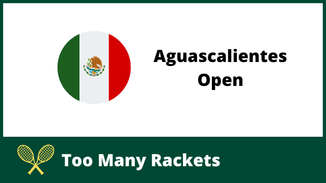 Aguascalientes Open